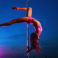 Pole Dancing (aka: I’m your not-so-private dancer)